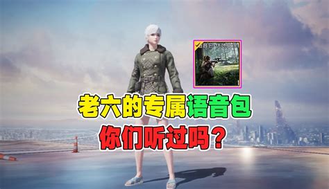 【黑老三解说】和平精英：老六的专属语言包，你们听过吗？ 超过1万粉丝337点赞在等你游戏视频 免费在线观看 爱奇艺