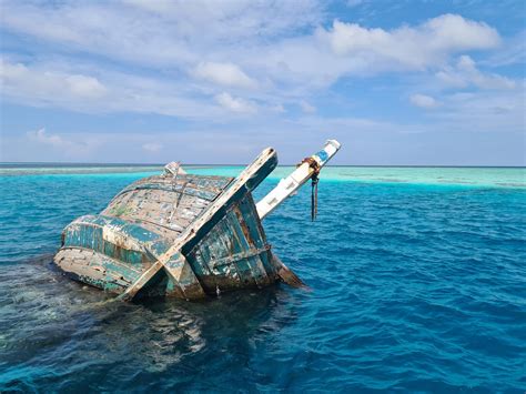 Aux Maldives, cette épave de bateau est le spot parfait pour nager avec