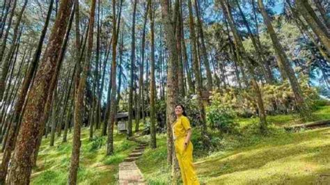 Restoran Pemandangan Bagus Di Bogor Makan Sambil Refreshing