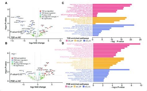 Proteomic Alterations In T2D Patients And PDB Subjects A B