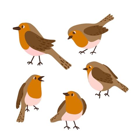 Premium Vector Cartoon Robin Bird Icon Set Cute Winter Bird In