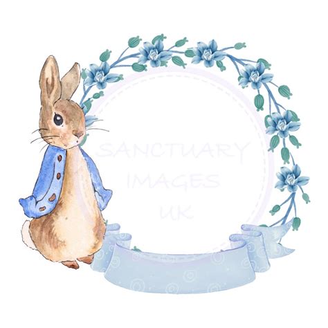 Blank Add Your Own Letters Peter Rabbit Flopsy Bunny Png Etsy