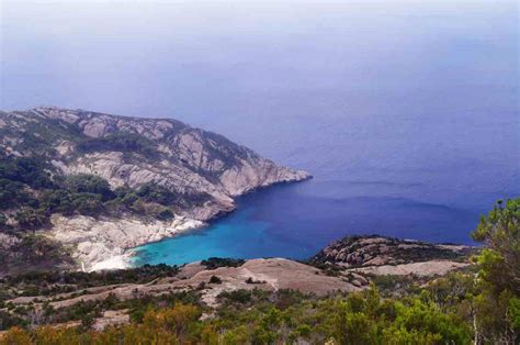 Ecosistemas De Litorales Marinos Fondo Rocoso Y Blando Naturaleza Y