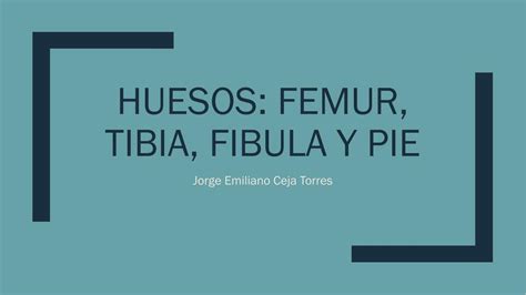 Huesos de miembro inferior Fémur Tibia Fíbula y pie Jorge Ceja