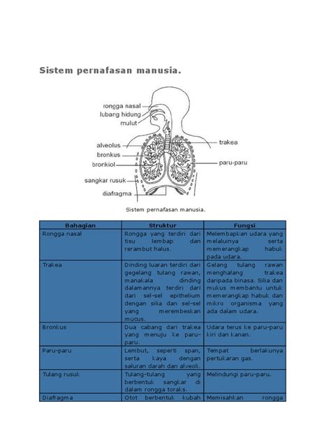 Pdf Sains Ting Masriyah Dokumen Tips