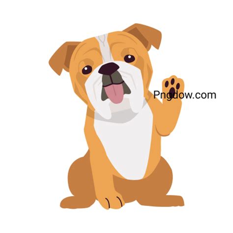 Bulldog Png image with transparent background for free, Bulldog, (105 ...