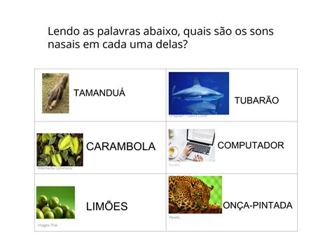 Uso De Til M Ou N No Final De S Labas Planos De Aula Ano