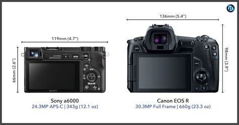 Sony a6000 vs Canon EOS R: Specifications Comparison