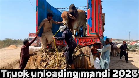 Northern Bypass Mandi Unloading 2023 Mandi Latest Update 2023