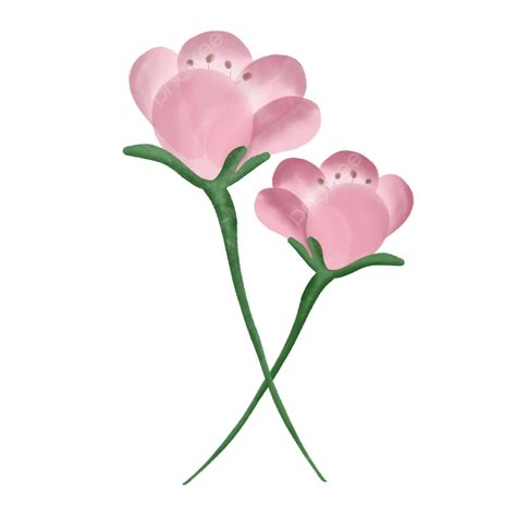 Lindas Flores Rosas Png Dibujos Flor Rosa Flor Acuarela Png Y Psd