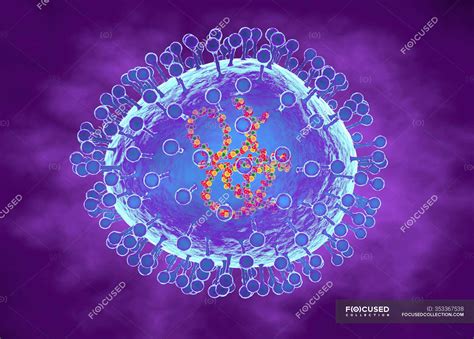 Human Metapneumovirus Particles Computer Illustration Of Particles Of