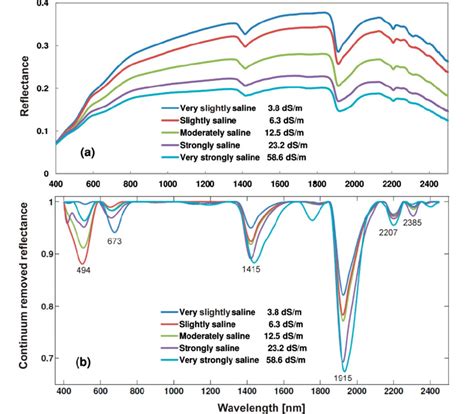 Raw Reflectance Spectra R A Continuum Removed Spectra CR B Of