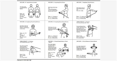 aaos shoulder impingement exercises pdf - Tonja Navarro