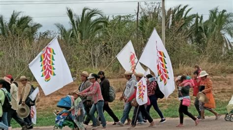 A M S De Tres D Cadas Los Pueblos Ind Genas Siguen Su Lucha Por Tierra