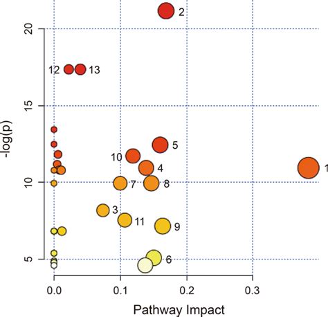 Bubble Plots Showing Altered Metabolic Pathways Perturbed By Hae