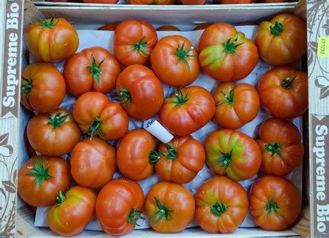 Bio Erbst Ck Tomaten Kiste Sw