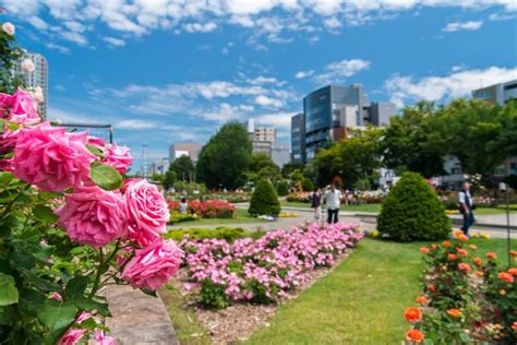 Green Oasis In City Hokkaido University Botanical Garden