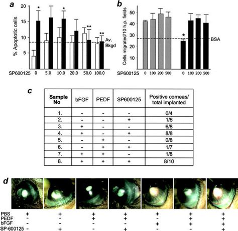 JNK Inhibitor Attenuated EC Apoptosis By PEDF And Interfered With Its