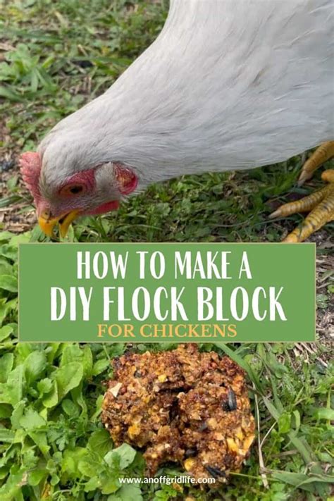 DIY Flock Block For Chickens An Off Grid Life