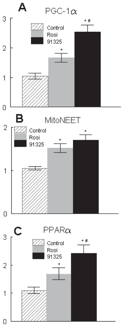 Effects of PNU 91325 and rosiglitazone on expression of PGC1α mitoNEET