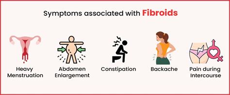 Uterine Fibroids: Causes, Symptoms & Treatment - Imprimis IVF