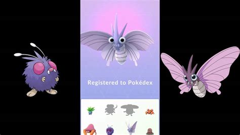 Venonat Evolution