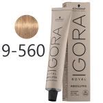 Schwarzkopf Igora Royal Absolutes Rubio Muy Claro Dourado Marr N