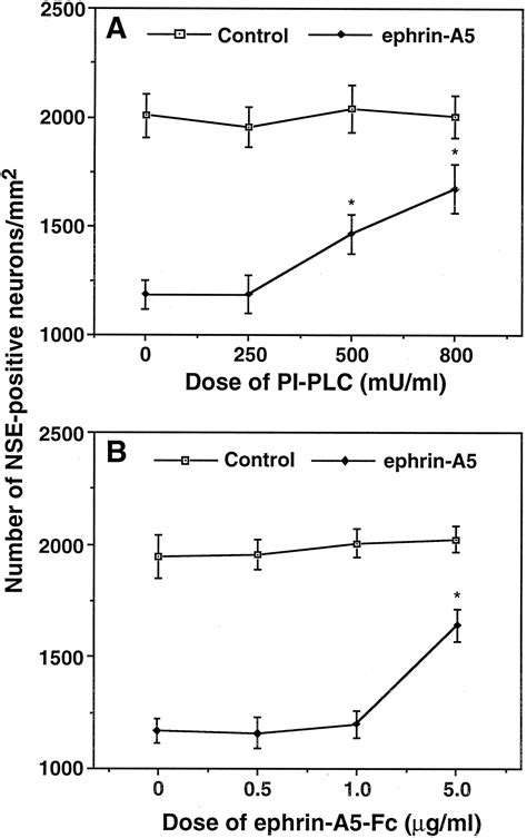 Selective Inhibition Of Spinal Cord Neurite Outgrowth And Cell Survival