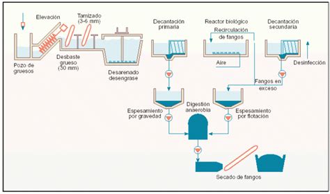 Diagrama De Flujo Corregido Aguas Residuales La Contaminacion Del Agua