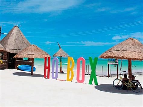 Noticias De Holbox Y Sargazo Hoy Al Minuto Quinta Fuerza