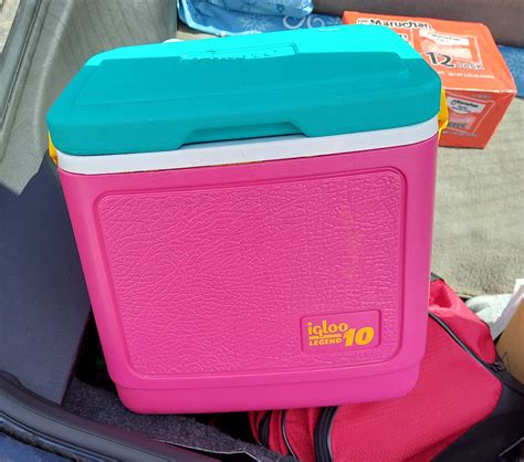 Vintage Igloo Cooler Find Totally Late 80searly 90s Aesthetic Perfect For Sandwiches R