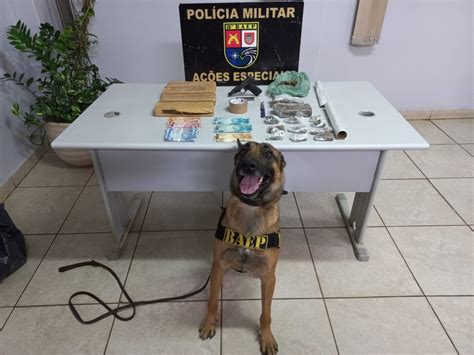 Ap S Den Ncia Maconha E Arma De Fogo S O Apreendidas Pela Pol Cia