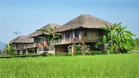 House Among The Rice Fields House Cottage Homes Thai House