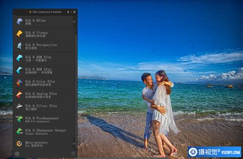Nik Collection 6 Nik插件套装 Dxo Nik Collection V6 3 0 Win中文版 摄视觉