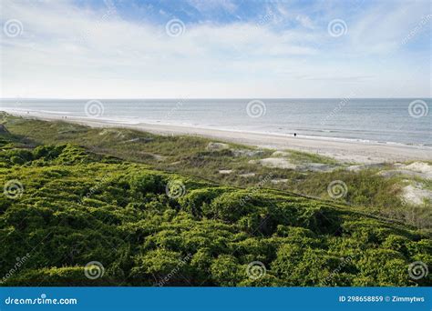 Beach And Dunes With Protective Greenery Barrier On The Atlantic Ocean