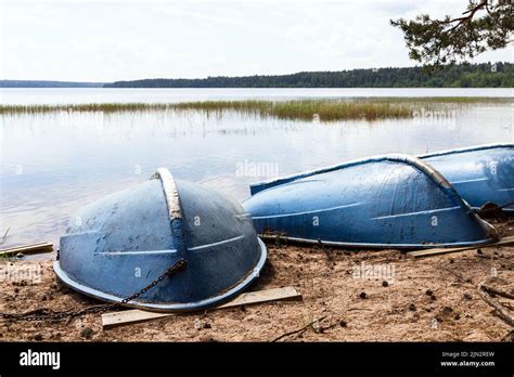 Blue Rowboats Lay Head Over Heels On A Sandy Beach Coastal Lake