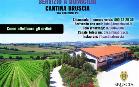 Vino Biologico Marche Cantina Biologica Marche Cantina Bio Bruscia