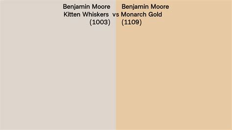 Benjamin Moore Kitten Whiskers Vs Monarch Gold Side By Side Comparison