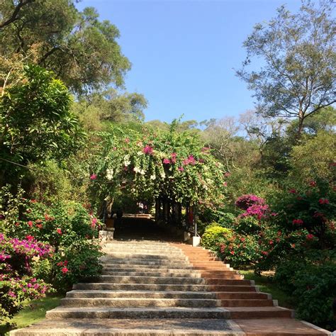 paito china harian 3