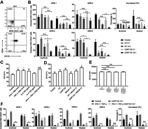 Full Article Ifn γ And Tnf α Aggravate Endothelial Damage Caused By