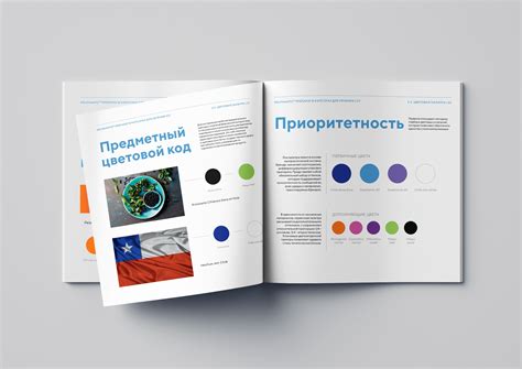 Delphanto Brandbook - брендинг Anvilhook Москва
