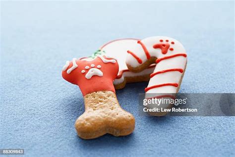 92 Christmas Dog Bone Stock Photos, High-Res Pictures, and Images ...