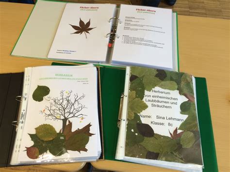 Bildergebnis F R Herbarium Gestalten Herbarium Vorlage Gestalten