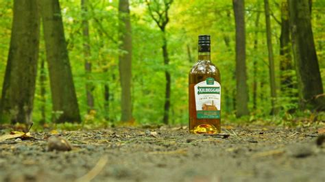 Kilbeggan Traditional Irish Whiskey im Test » Lohnt der Kauf?