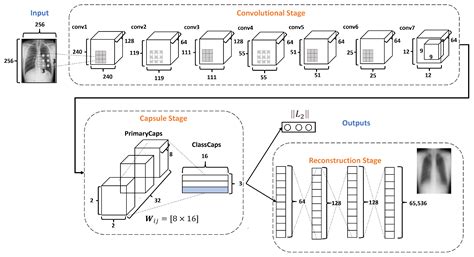 Diagnostics Free Full Text A Deep Learning Model Based On Capsule