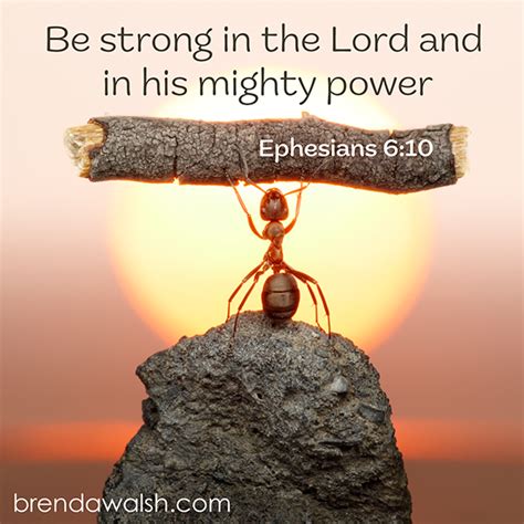 Strength in the Lord - Brenda Walsh Scripture Images