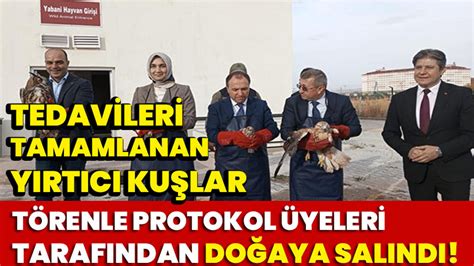 Tedavileri tamamlanan yırtıcı kuşlar törenle protokol üyeleri