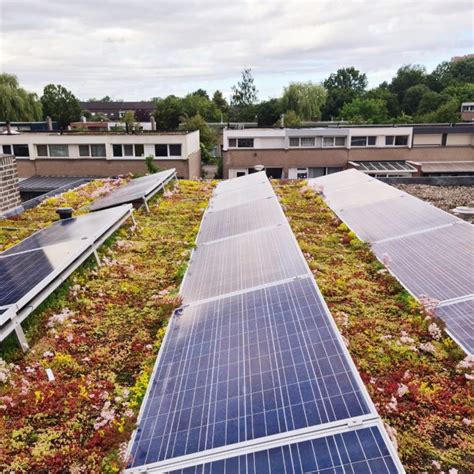 Het Effect Van Een Sedumdak Op Zonnepanelen Mooigroendak