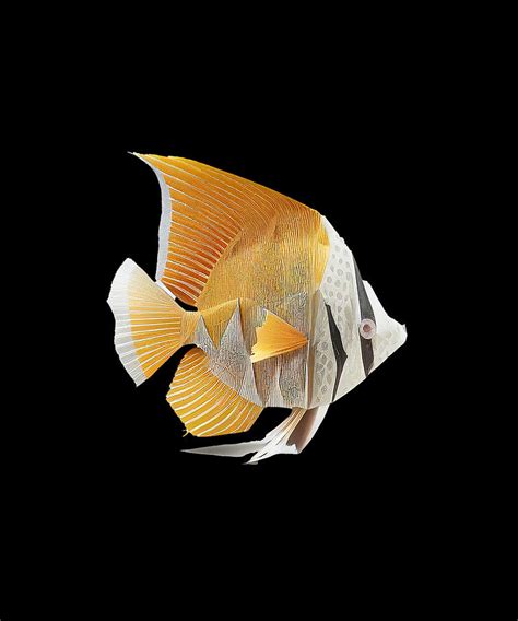 Realistic Yellow Fish Drawing Digital Art by About Passion Art - Fine ...