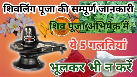 शवलग क पज वध शवलग क पज घर पर कस कर Shivling Ki